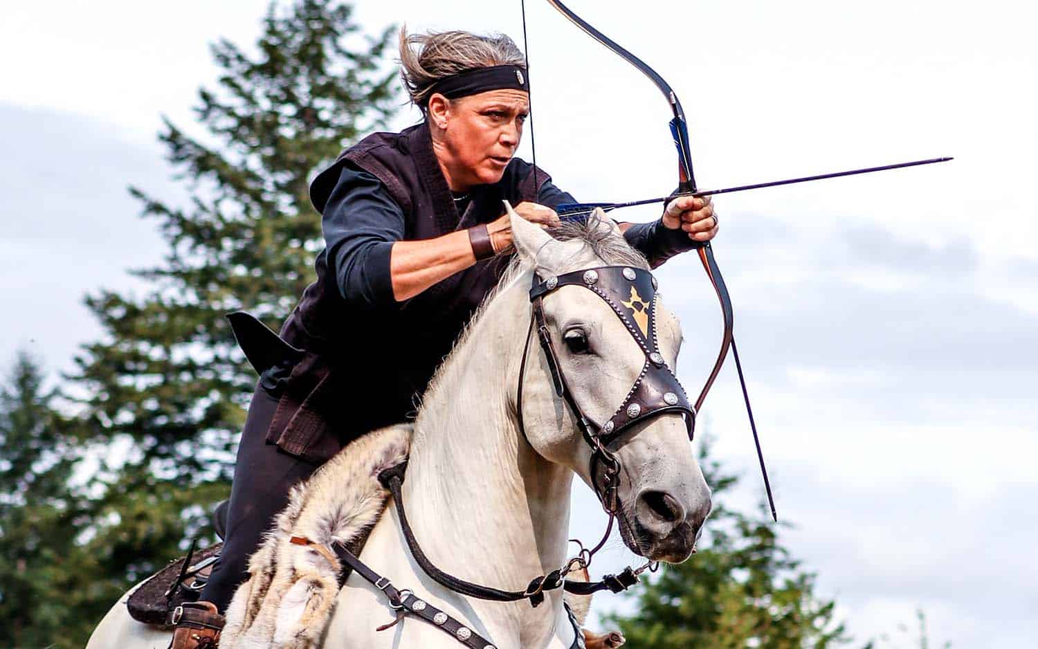 Dekkers Tribuneverhuur - bankentribune paarden en ridder toernooien