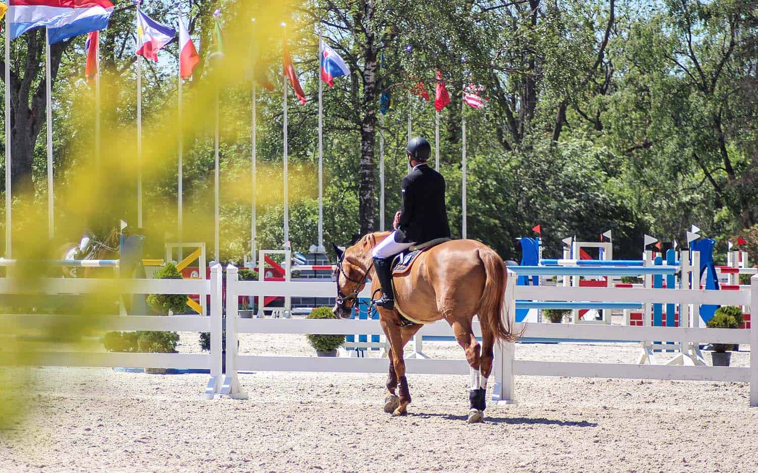 Dekkers Tribuneverhuur - bankentribune paarden spring evenement